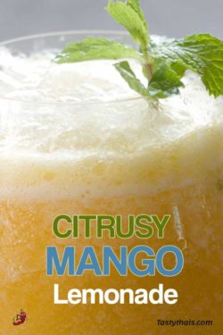 Delicious citrus flavors from this delightful honey mango lemonade