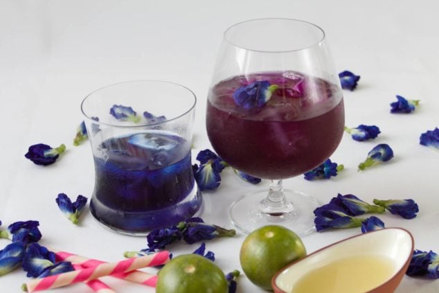 How to Make Butterfly Pea Tea & Change its color by adding lime