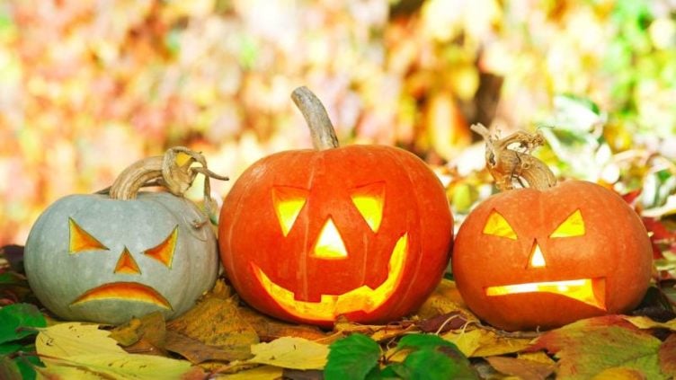 Image of pumpkins cut for Halloween