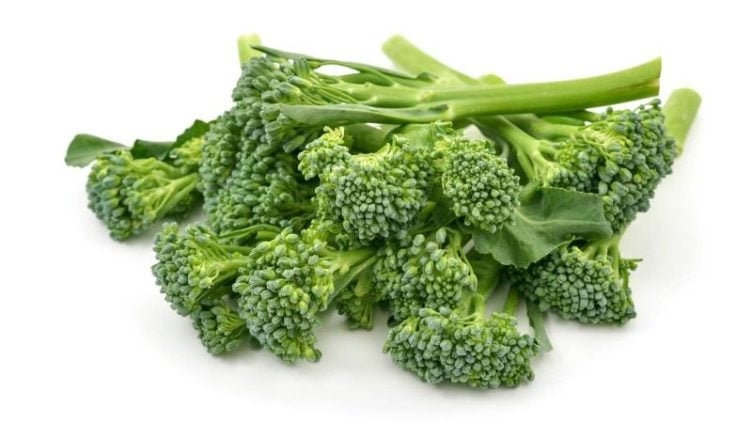 Chinese Kale with Shrimp & Oyster Sauce Photo of raw broccolini