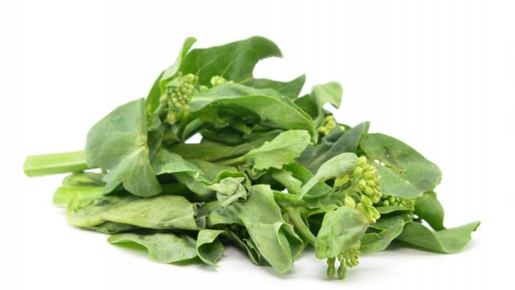 Photo of small leaved Chinese Broccoli