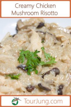 Photo of teh best creamy chiken & mushroom risotto recipe dish for beginners and experts