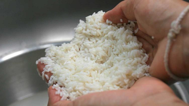 Photo of sticky rice after washing and soaking for two hours and ready for cooking