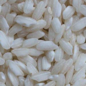 Photo of raw medium grain rice - Arborio