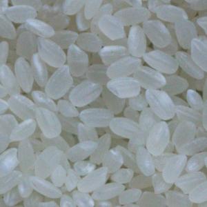 Photo of short grain rice - Japanese Sushi Rice