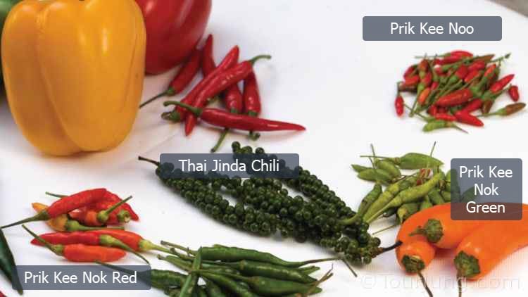 Easy Thai Chicken with Basil Recipe – Pad Krapow Gai Stir-Fry with Fried Egg Easy Thai Chicken with Basil Recipe – Pad Krapow Gai Stir-Fry with Fried Egg