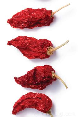Hot Chili Peppers & Suitable Substitutions Photo of teh Bhut Jolokia