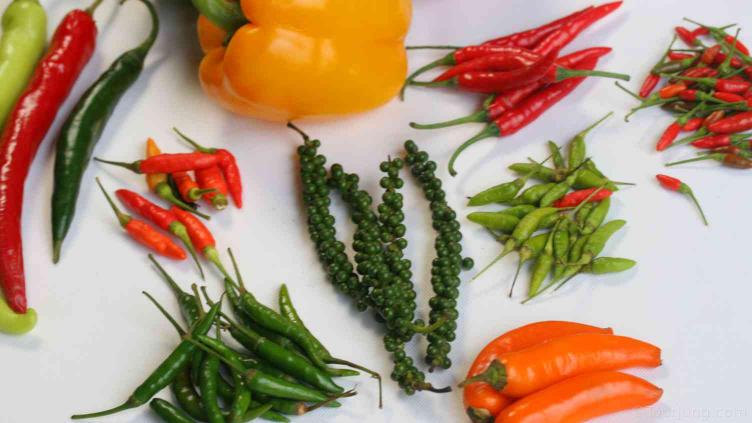 photo of various chilies on a table