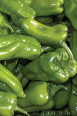 Photo of cubanelle chili pepper