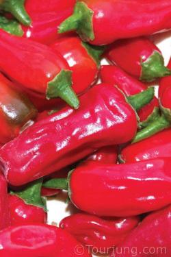photo of the Italian Sweet Chili pepper