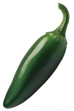 Moderately Hot Chili Peppers & Suitable Substitutions Photo of a Jalapeno Chili pepper