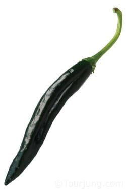 Photo of the Pasilla Chili pepper