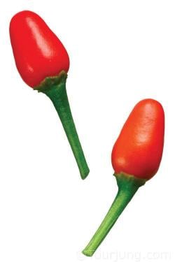 Hot Chili Peppers & Suitable Substitutions Photo of the nice looking Pequin Chili