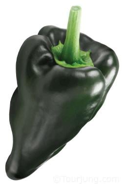 Photo of the Poblano Chili pepper