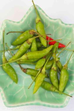 Types of Thai Chili & Thai Chili Pepper Substitutes photo of Thai Bird's Eye Chilli called Prik Kee Nok