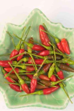 Types of Thai Chili & Thai Chili Pepper Substitutes Photo of Prik kee noo or mouse dropping chili