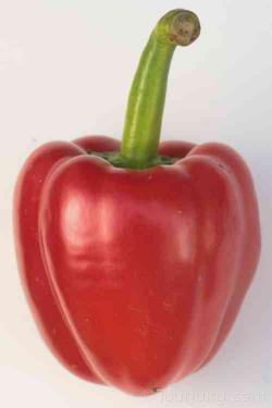 Photo of a red bell pepper