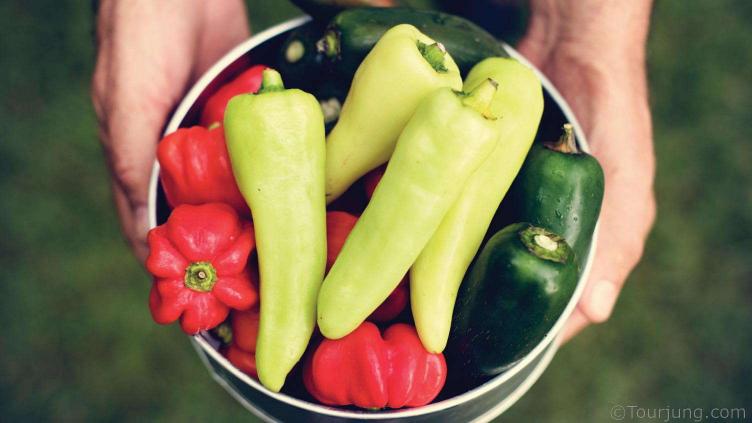 Photo of various types of Chili Peppers in a bowl