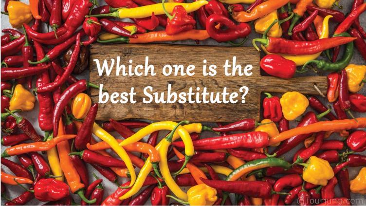 The Best Guide to Cooking with Chili Peppers and Using Substitutes Cooking with Chili Peppers - Substituting Chilies
