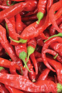 Hot Chili Peppers & Suitable Substitutions Photo of the Tien TSin Chili