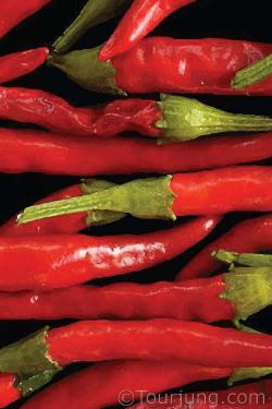Photo of teh Yatsafusa Chili pepper