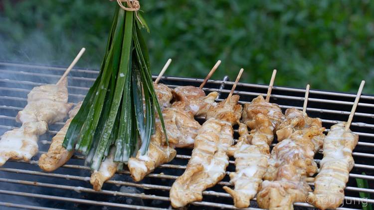 Awesome Thai Chicken Satay Skewers with Peanut Sauce Recipe - BBQ & Air Fryer Cooked Thai Street Food photo of basting chicken skewers on the BBQ