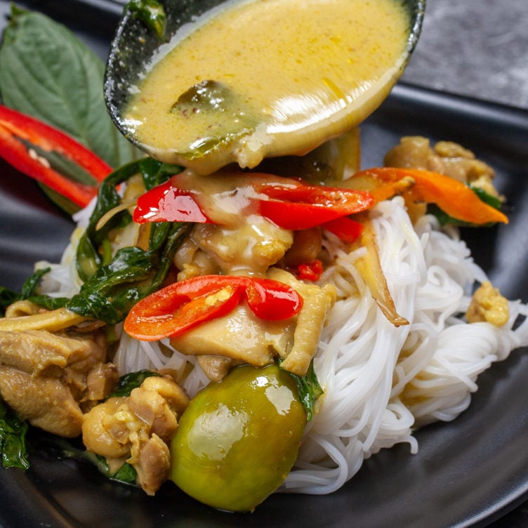 Easy Thai Green Curry Recipe (Chicken) - Gaeng Kiew Wan Gai - Love it! photo close up of chicken Thai green curry