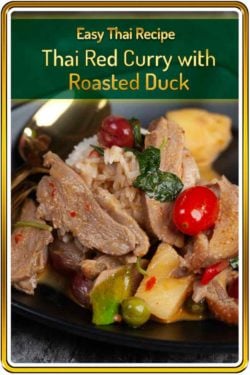 photo of Thai Red Duck Curry for Pinterest