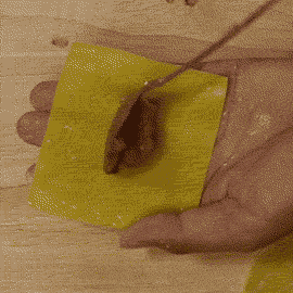 Easy Wonton Noodle Soup Recipe - Thai Bar Mee Kiew Nahm moving image of making wonton