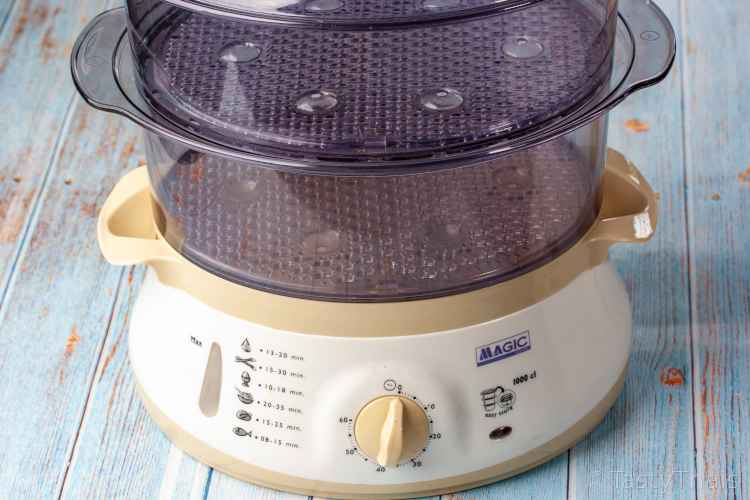 photo of an electric steamer