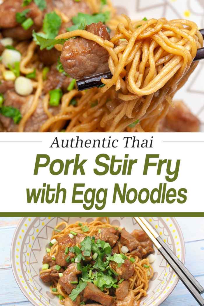 pin image for delicious stir fried pork with garlic egg noodles