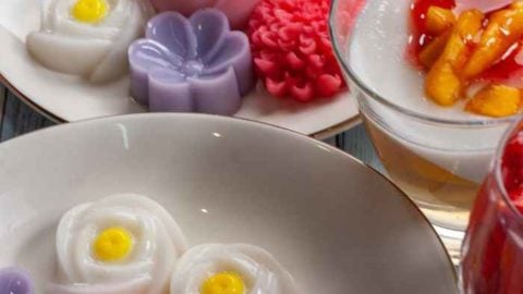 Coconut & Strawberry Jello Art Flowers - Kid & Vegan Friendly Agar Agar Art Desserts photo of jello flower art made with coconut jelly
