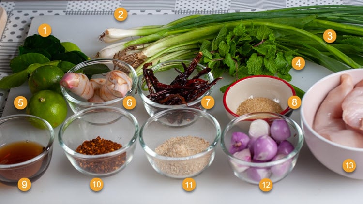 Ingredients for Chicken Larb or Laab Gai