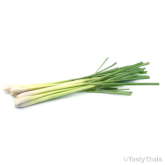 Generic Product Image - Lemongrass