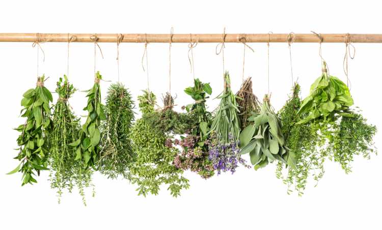 Weestern Cuisine Herbs for Cooking