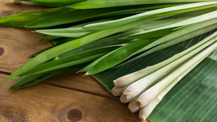 Pandan leaves and lemongrass are famous in Thailand and go so well together