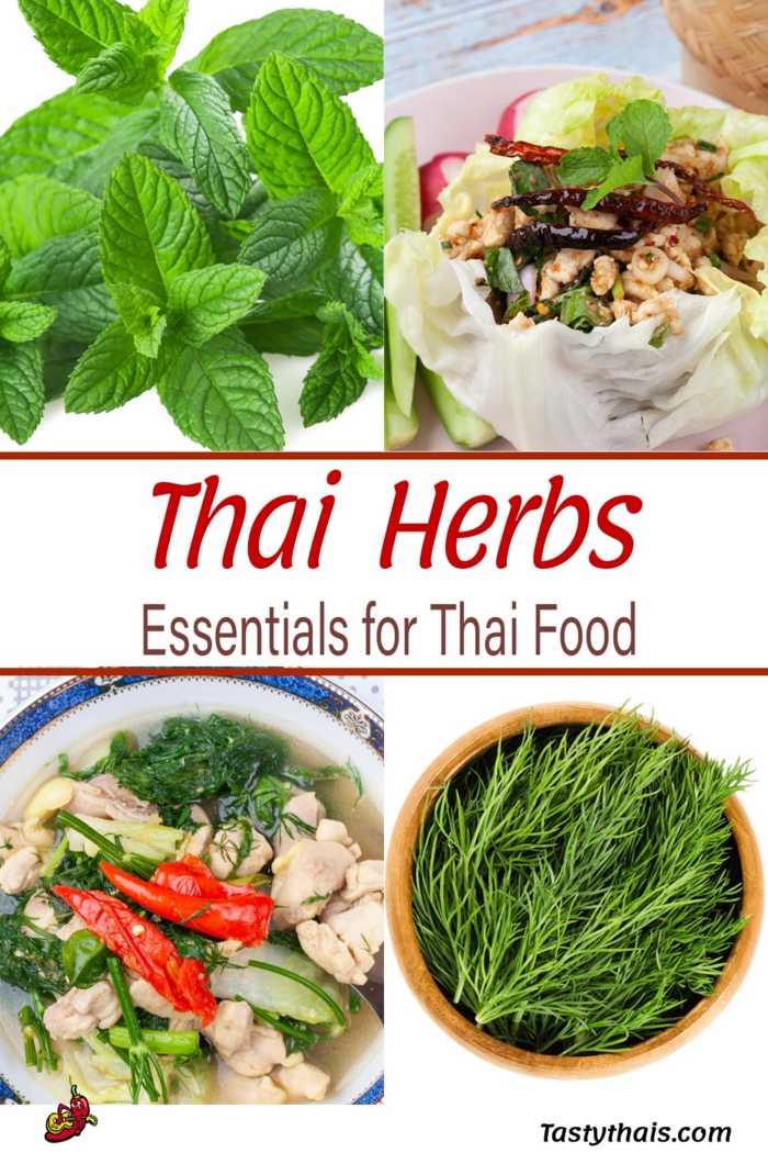 Thai Herbs Featured in Thai Herb Soup and Larb Salad