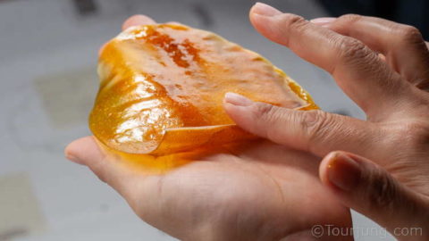 Roll thge mango fruit leather into a roll up