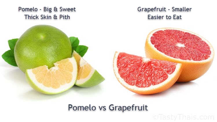 Pomelo versus Grapefruit - Skin & Pith Differences